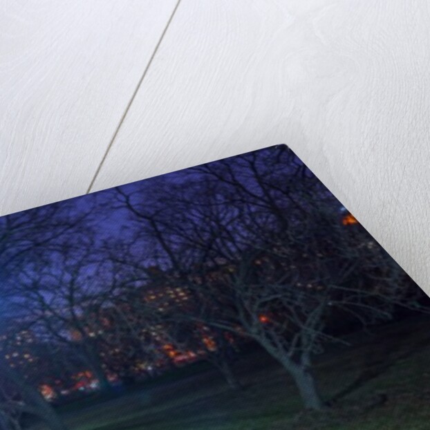 Central park, New York by Assaf Frank